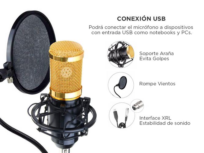 Micrófono Condenser Gadnic GM-800 USB Profesional Con Brazo Articulado - 3