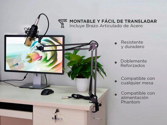Micrófono Condenser Gadnic GM-800 USB Profesional Con Brazo Articulado - 4