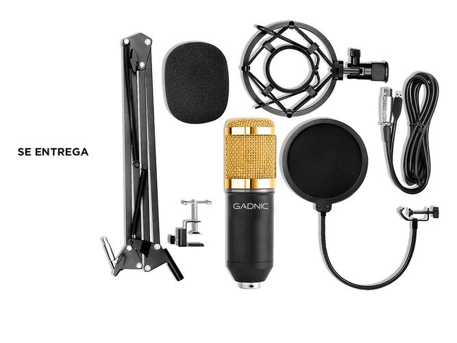 Micrófono Condenser Gadnic GM-800 USB Profesional Con Brazo Articulado - 5
