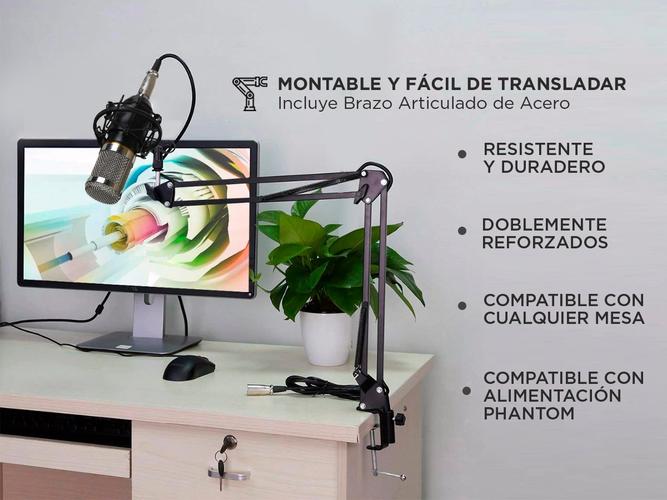 Micrófono Condensador Gadnic + Accesorios  - 2