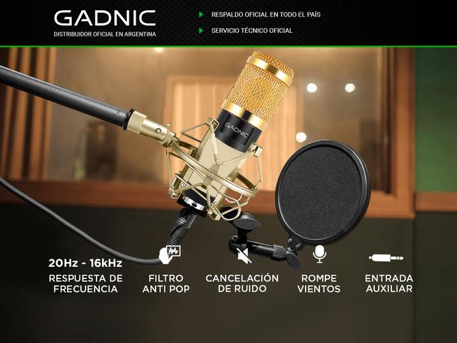 Micrófono Gadnic GM-800 Condenser Profesional con Brazo Articulado - 1