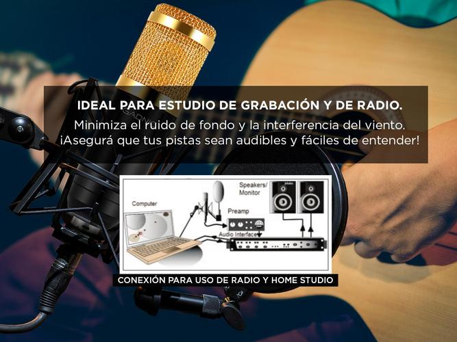 Micrófono Gadnic GM-800 Condenser Profesional con Brazo Articulado - 2
