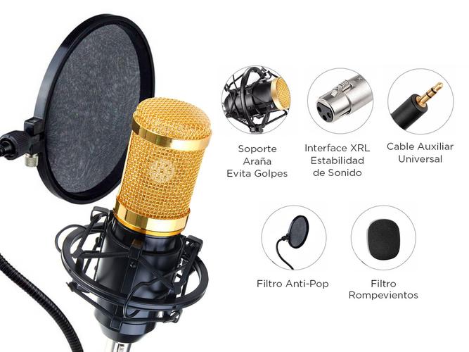 Micrófono Gadnic GM-800 Condenser Profesional con Brazo Articulado - 3
