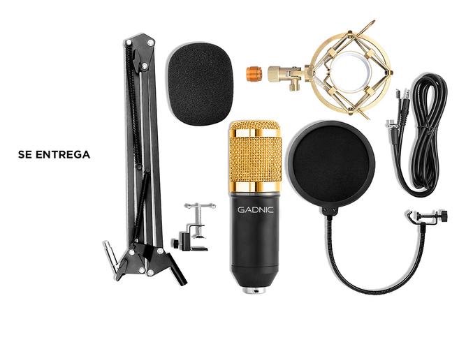 Micrófono Gadnic GM-800 Condenser Profesional con Brazo Articulado - 5