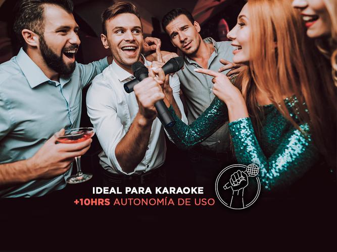 Micrófono Inalámbrico Gadnic M203 de Mano Ideal Karaoke Conferencias 2CH - 4
