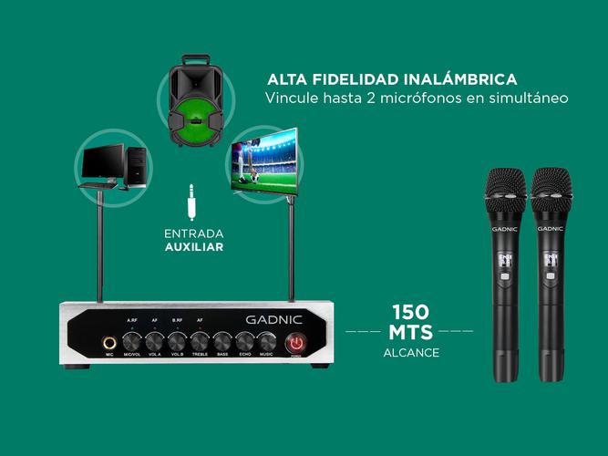 Micrófono Inalambrico Profesional Gadnic BT308 UHF Usado - 2