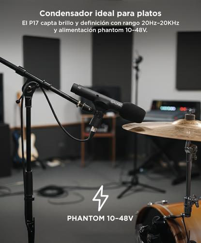 Kit de Micrófonos Gadnic para Baterías - 3