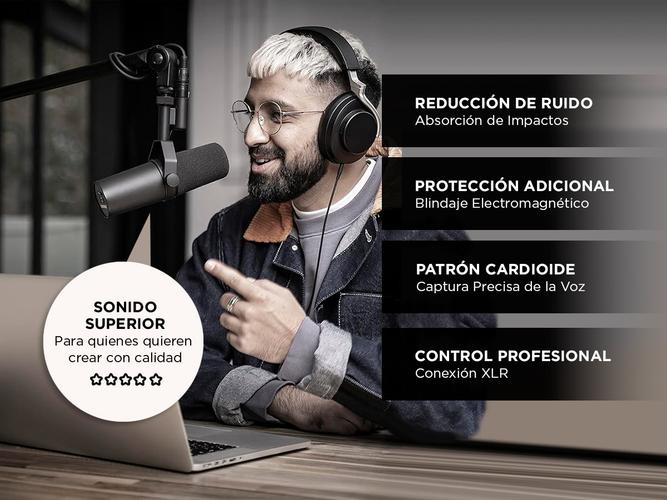 Micrófono Dinámico Gadnic Cardioide De Estudio  - 2