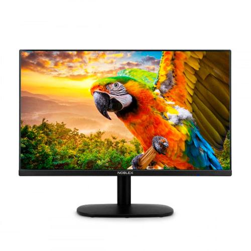 Monitor Noblex 24