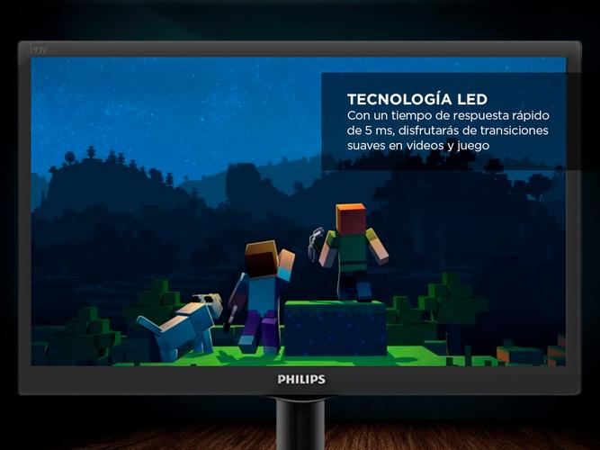 Monitor Philips 19