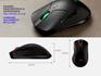 img_MOUSE021_5