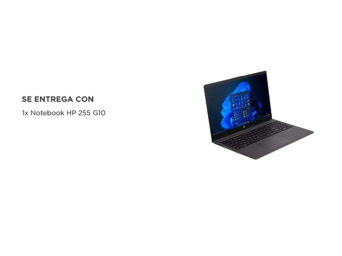 Notebook Hp 255 G10 Ryzen 3-7330u 8Gb 512Gb 15 Windows 11 - 6