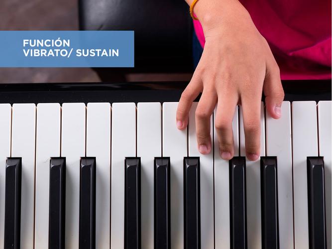 Órgano Eléctrico Gadnic T01 54 Teclas 100 Ritmos 8 Percusiones 4 1/2 Octavas  - 5