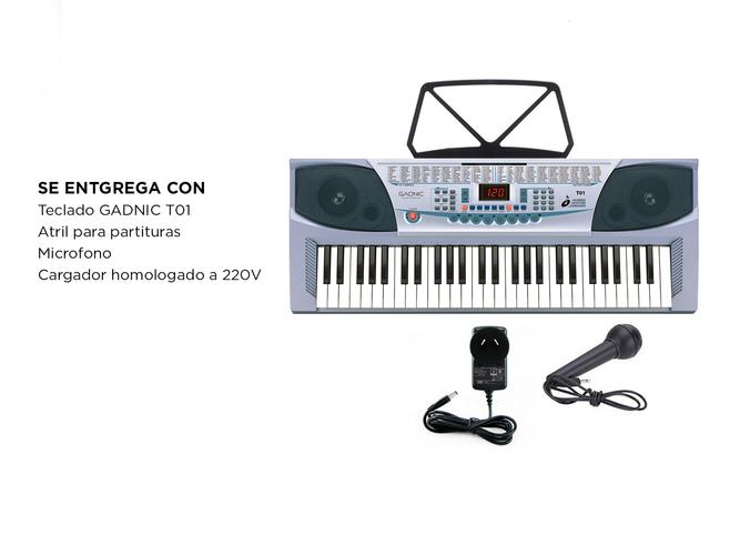 Órgano Eléctrico Gadnic T01 54 Teclas 100 Ritmos 8 Percusiones 4 1/2 Octavas  - 6