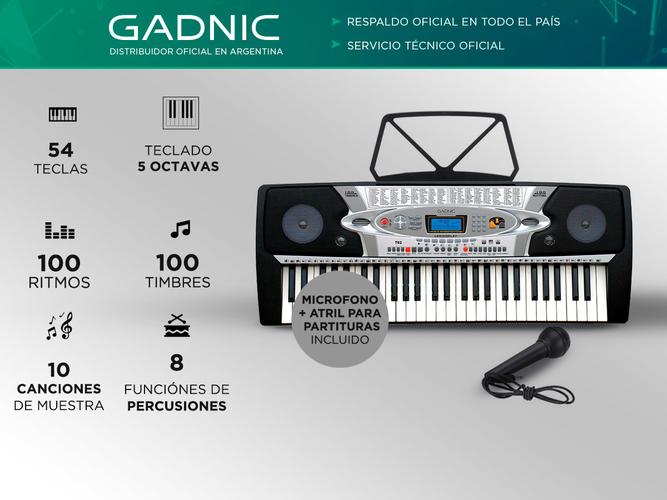Órgano Eléctrico Gadnic T02 54 Teclas 100 Ritmos 8 Percusiones 4 1/2 Octavas  - 1