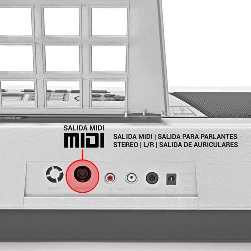 Órgano Eléctrico Sensitivo Gadnic T05 Atril + Asiento + Bolso - 4
