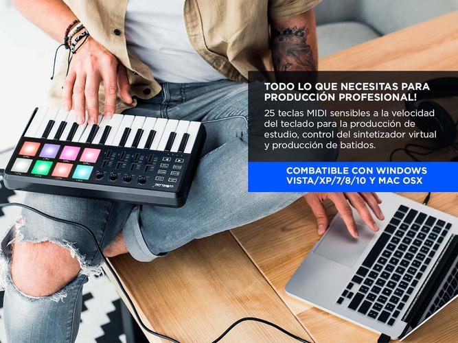 Mini Teclado Panda Mini 25 Teclas USB Luces Led - 2
