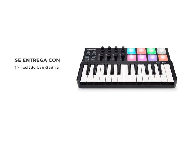 Mini Teclado Panda Mini 25 Teclas USB Luces Led - 6