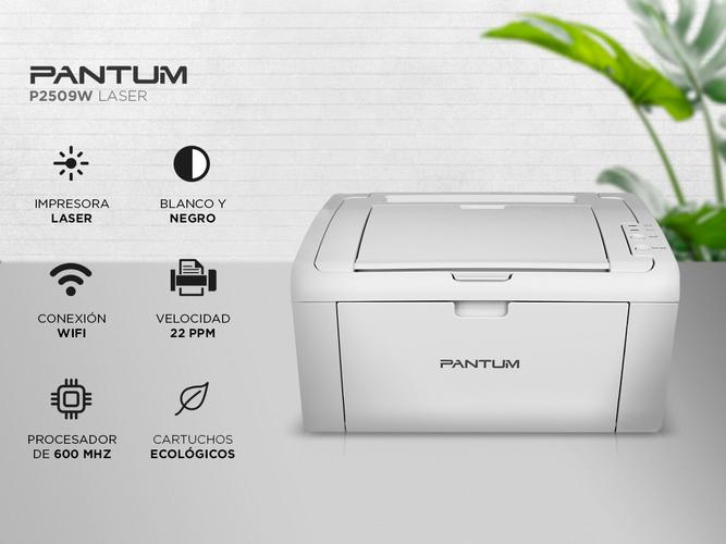 Impresora Pantum 2509W WIFI Laser Monocromatica - 1