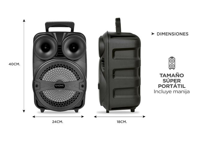 Parlante Gadnic Live Studio XBS11 Bluetooth 2500w Función Karaoke - 5
