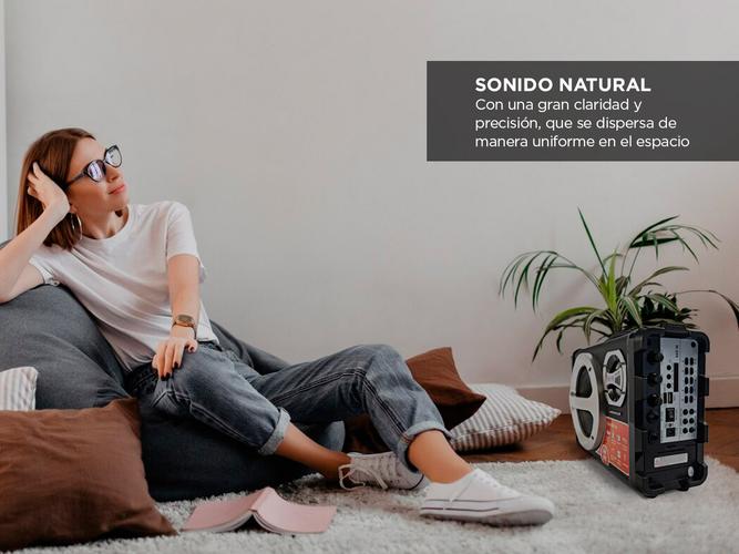 Parlante Winco Potenciado Portatil Bluetooth USB Karaoke 40W - 2