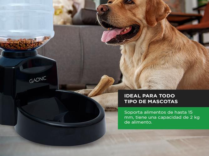 Comedero Automatico Gadnic Para Mascotas Digital - 3