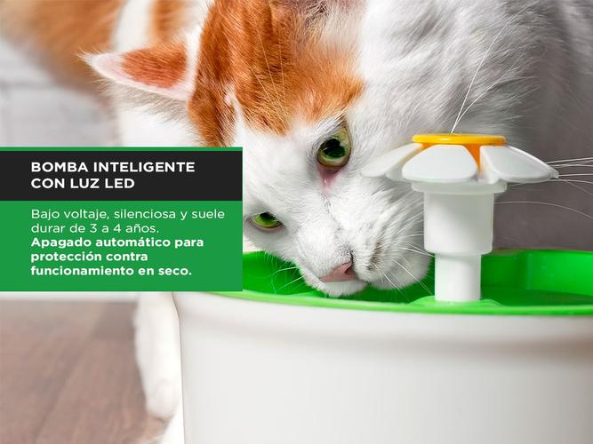 Fuente De Agua Recirculante Gadnic PB2000 Para Perros Y Gatos 1.6L - 3