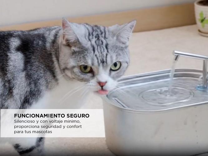 Bebedero Para Mascotas Gadnic Acero Inoxidable  - 2