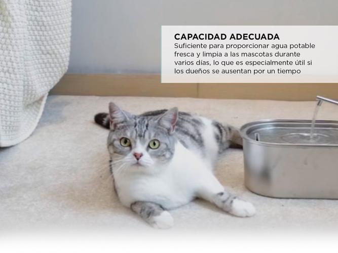Bebedero Para Mascotas Gadnic Acero Inoxidable  - 4