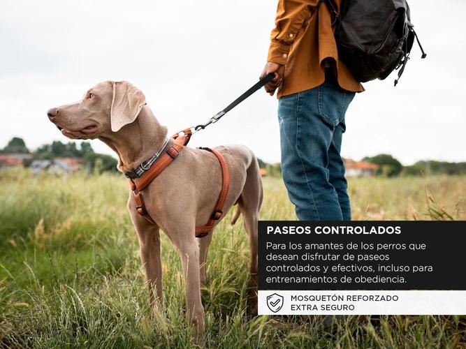 Correa de Perro de Paseo Gadnic Extra Larga  - 2