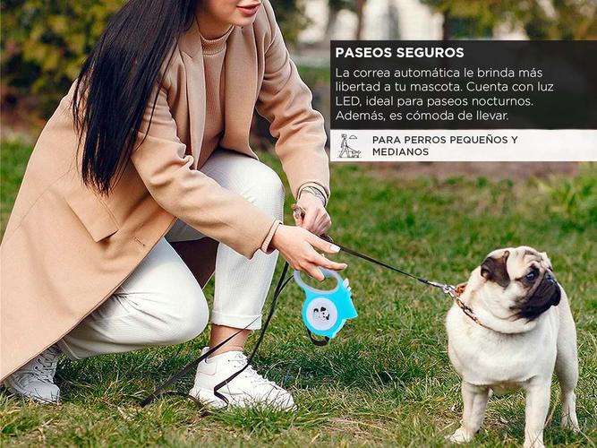 Correa de Perro Retráctil Gadnic PETC08 Con Linterna - 2
