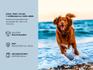 img_REF-PETGPS01_3