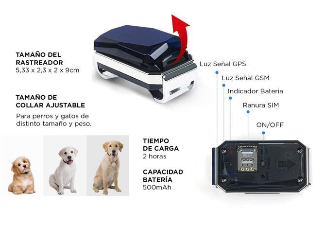 Collar GPS Para Mascotas Gadnic Ubicación en Tiempo Real - 4
