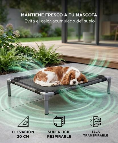  Cama Catre Mascota Elevada Gadnic Cucha para Perro Reforzada 100x70cm Desarmable - 3