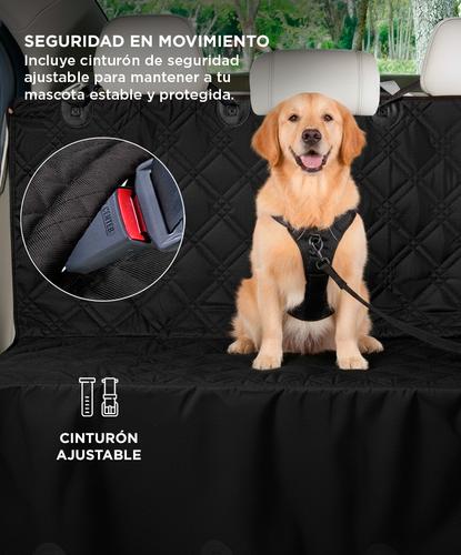 Funda Protectora de Autos + Cinturón Para Mascotas  - 3