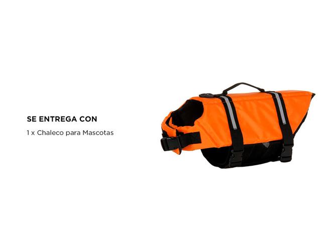 Chaleco Salvavidas Impermeable para Perros Gadnic PCH1 Cintas Reflectante de Seguridad - 5