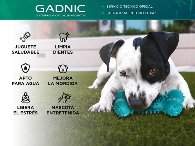 Juguete de Goma Para Perro Gadnic Limpia Dientes  - 1