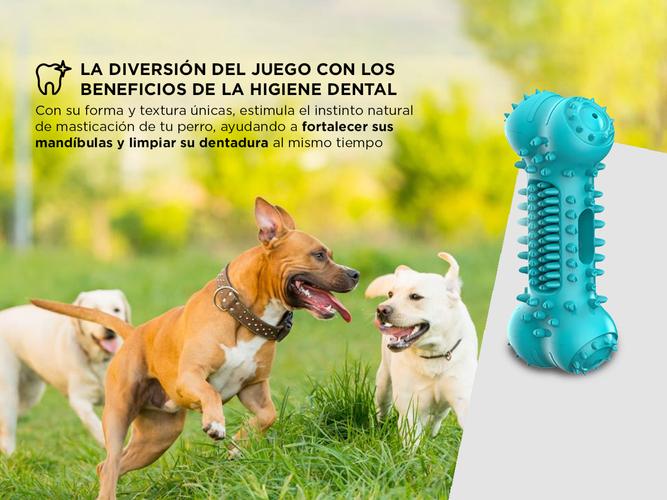 Juguete de Goma Para Perro Gadnic Limpia Dientes  - 2