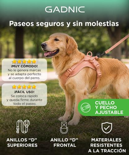 Arnés Para Perro Gadnic Acolchado Ajustable Resistente Paseos Seguros  - 1
