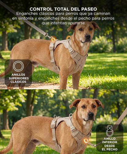 Arnés Para Perro Gadnic Acolchado Ajustable Resistente Paseos Seguros  - 3