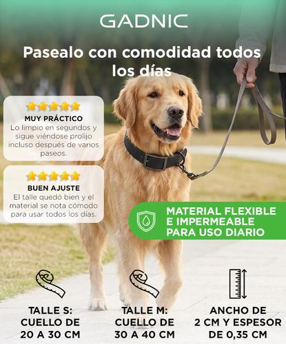 Collar Para Perro Flexible Gadnic Regulable De PVC Impermeable Talles S Y M Ancho 2 Cm - 1