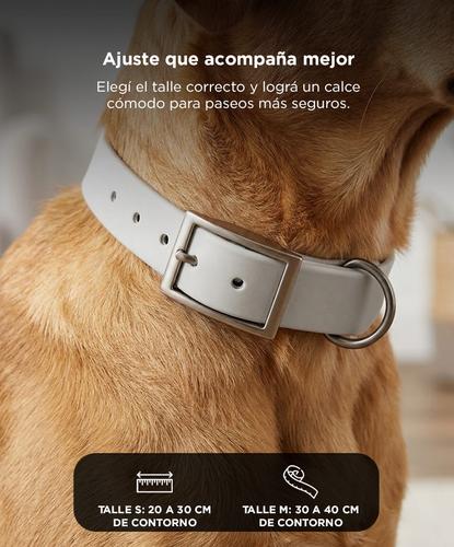 Collar Para Perro Flexible Gadnic Regulable De PVC Impermeable Talles S Y M Ancho 2 Cm - 2