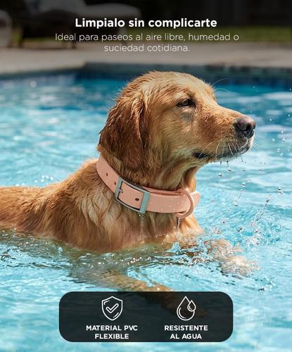 Collar Para Perro Flexible Gadnic Regulable De PVC Impermeable Talles S Y M Ancho 2 Cm - 3