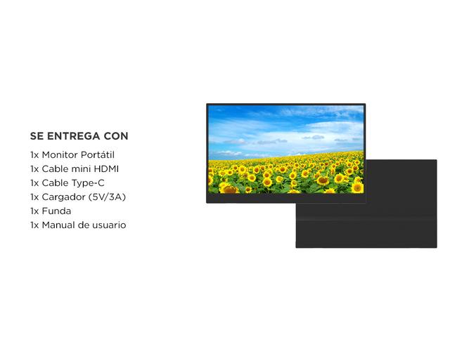 Monitor Portátil Gadnic 156 con Funda Soporte Full HD - 6
