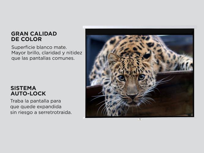 Pantalla Proyector Gadnic 100