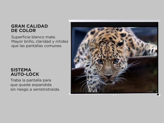 Pantalla Para Proyector Gadnic 86