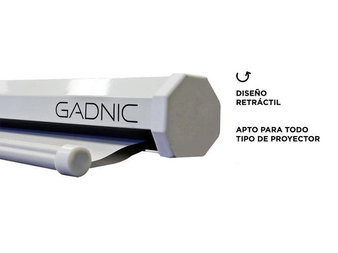 Pantalla Para Proyector Gadnic 86