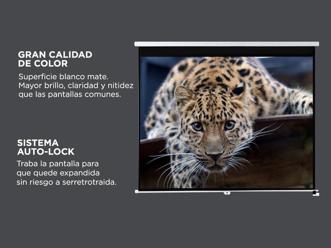 Pantalla Proyector Gadnic 120″ Manual con trípode - 3