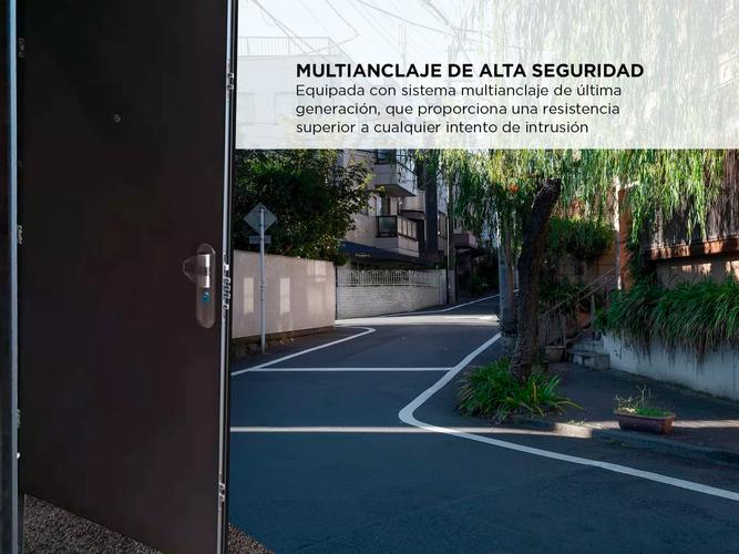 Puerta De Seguridad Blindada Multianclaje Paso Libre - 2
