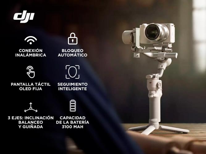 Estabilizador DJI RS4 Mini Combo - 1